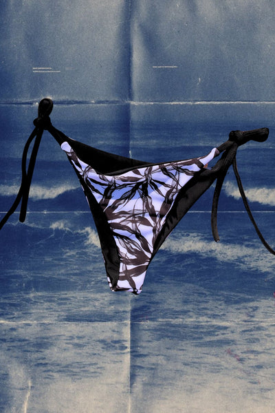 The String Theory Bottom | Summer